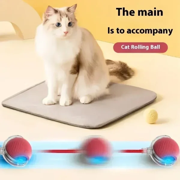 Cat Toys Rechargeable Pet Interactive Automatic Rolling Ball Toy Cats Pet Products New Electric Dog Ball Toy Simulated Tail for - AliExpress - Image 4