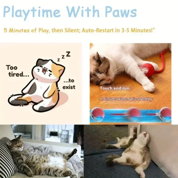 Cat Toys Rechargeable Pet Interactive Automatic Rolling Ball Toy Cats Pet Products New Electric Dog Ball Toy Simulated Tail for - AliExpress - Image 6