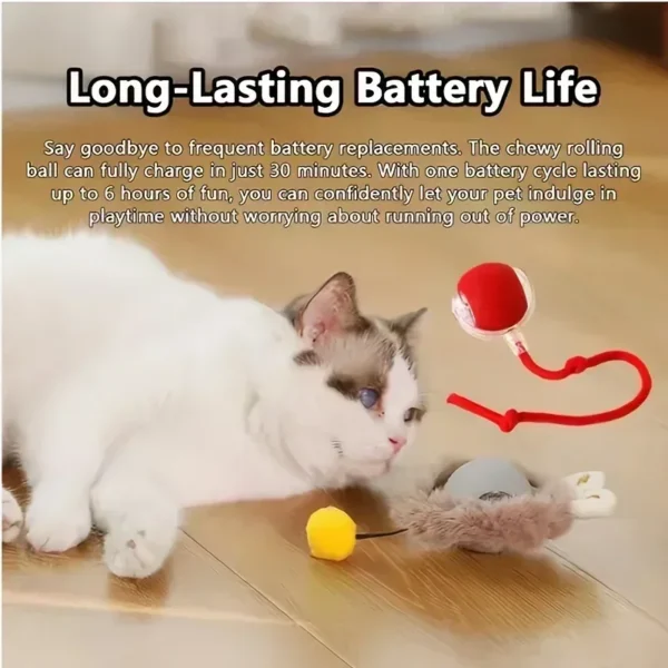 Cat Toys Rechargeable Pet Interactive Automatic Rolling Ball Toy Cats Pet Products New Electric Dog Ball Toy Simulated Tail for - AliExpress - Image 5