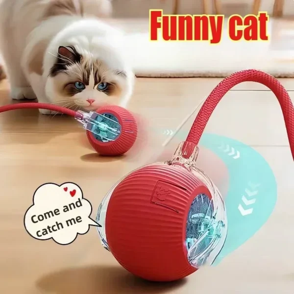 Cat Toys Rechargeable Pet Interactive Automatic Rolling Ball Toy Cats Pet Products New Electric Dog Ball Toy Simulated Tail for - AliExpress